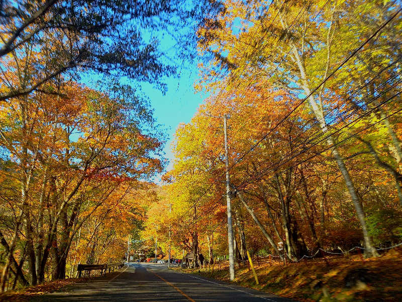 ゴマさんの宝湯のサ活写真