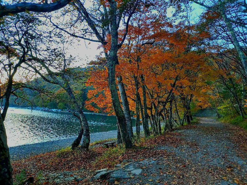 ゴマさんの宝湯のサ活写真
