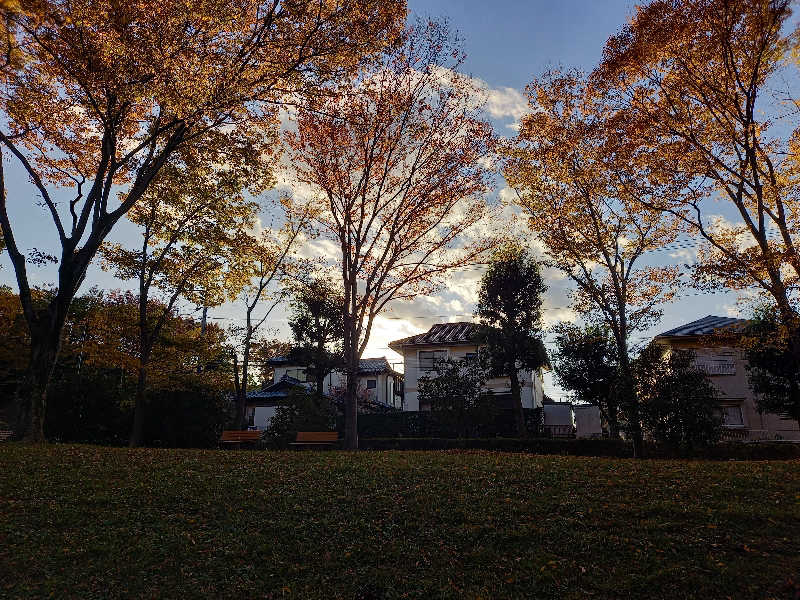 ゴマさんの稲城天然温泉 季乃彩(ときのいろどり )のサ活写真