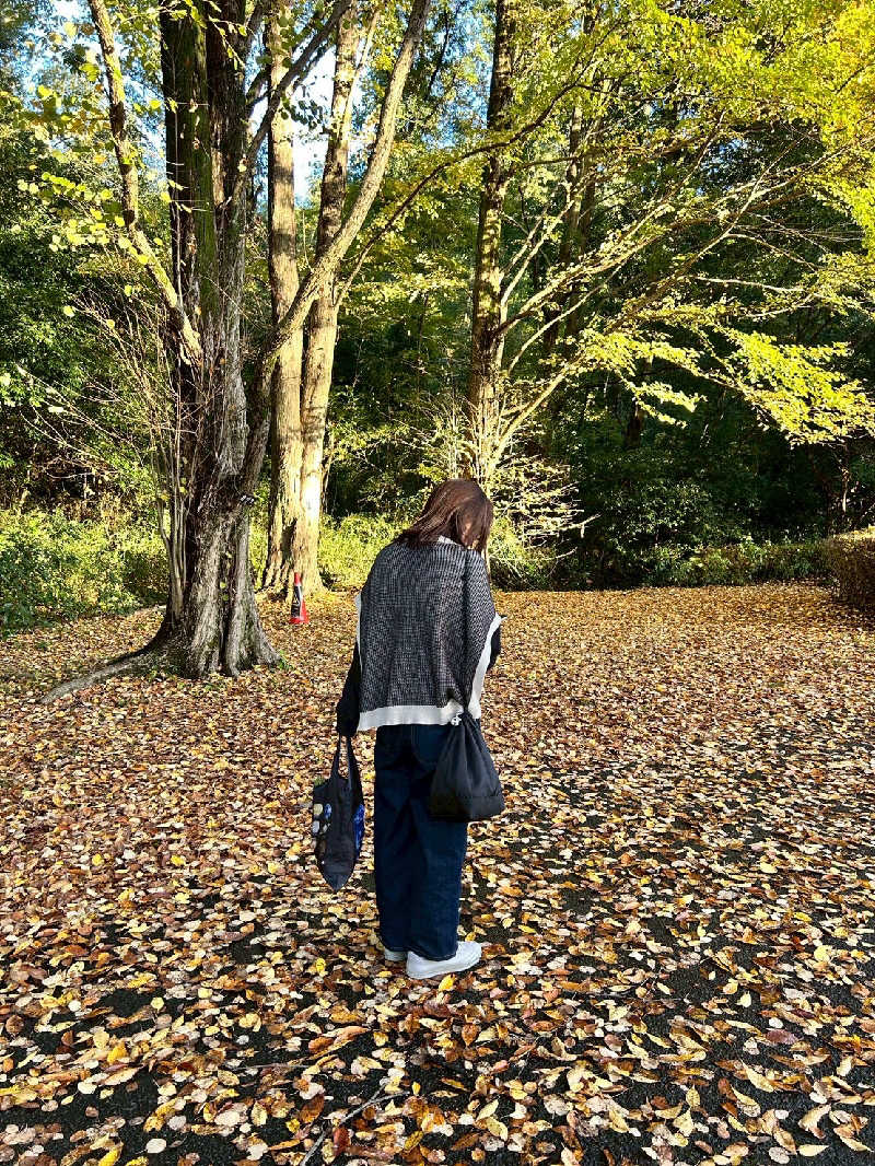 ゴマさんの稲城天然温泉 季乃彩(ときのいろどり )のサ活写真