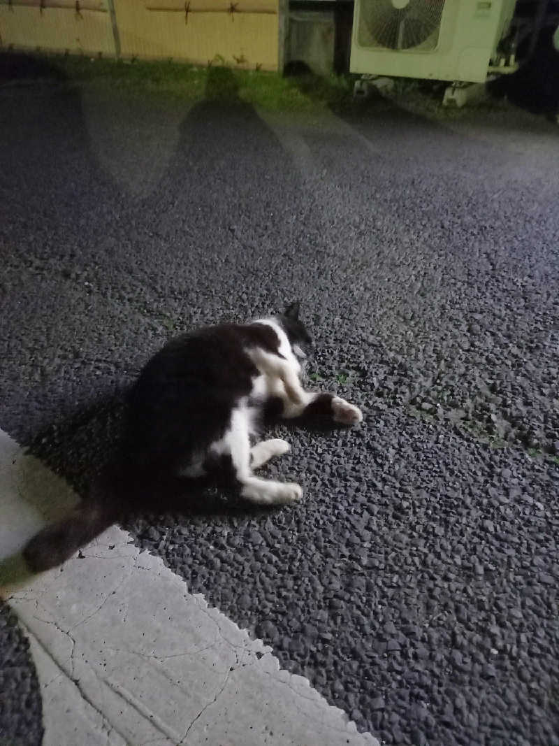 ゴマさんの潮騒の湯のサ活写真