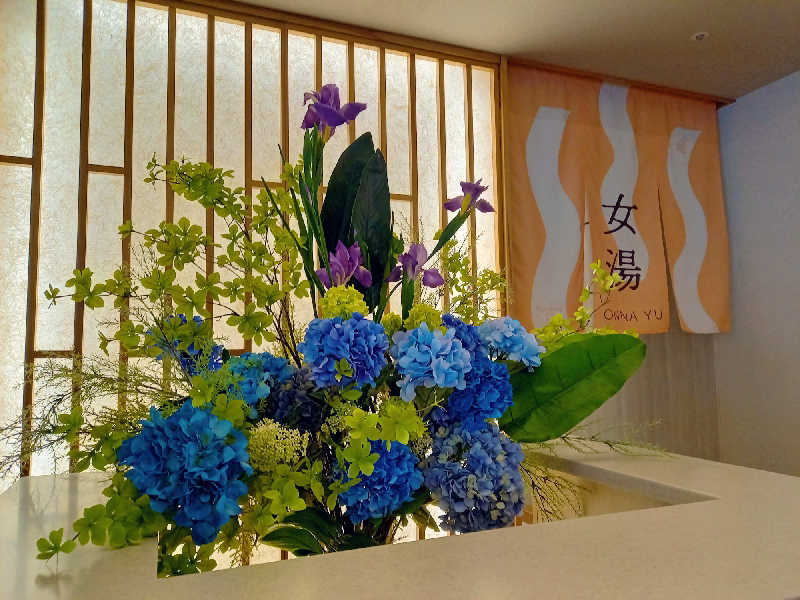 ゴマさんのスパメッツァ おおたか 竜泉寺の湯のサ活写真