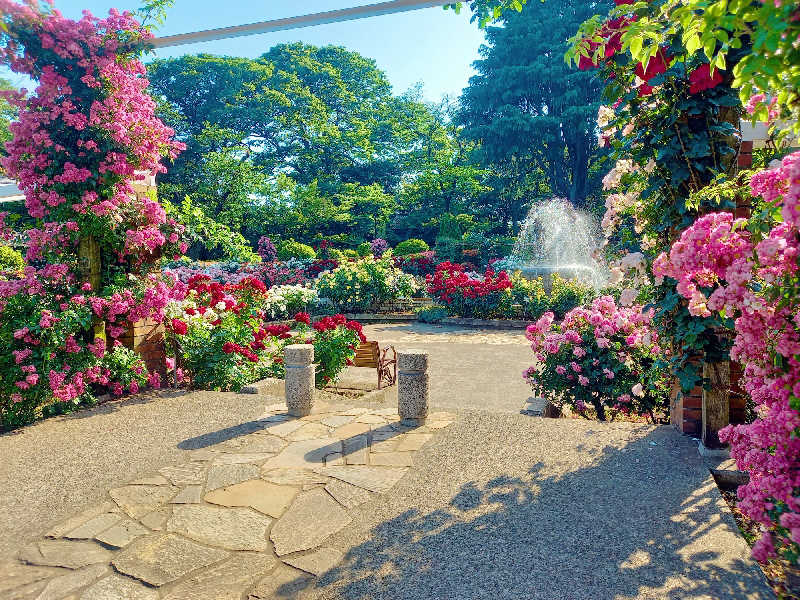 ゴマさんの南柏天然温泉すみれのサ活写真