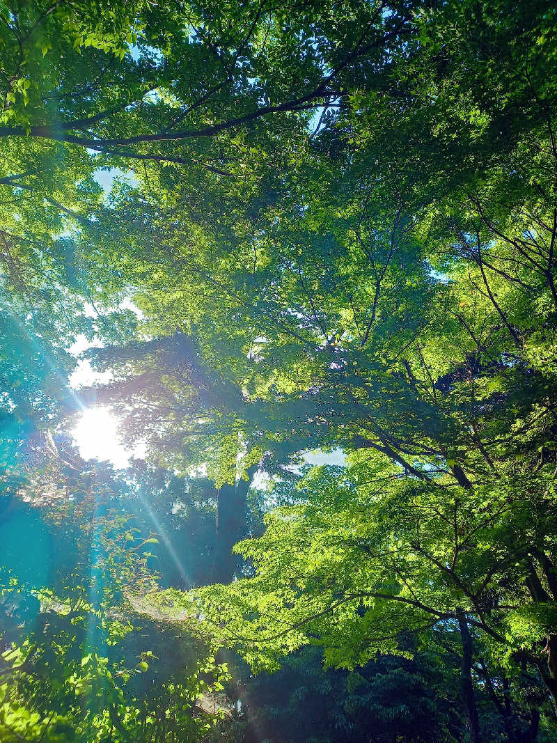 ゴマさんの南柏天然温泉すみれのサ活写真