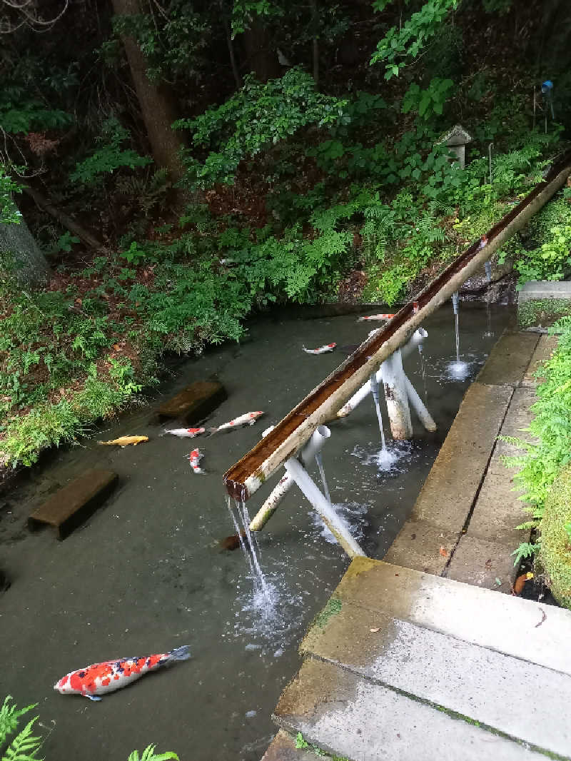 ゴマさんのSATOYAMA TERRACEのサ活写真