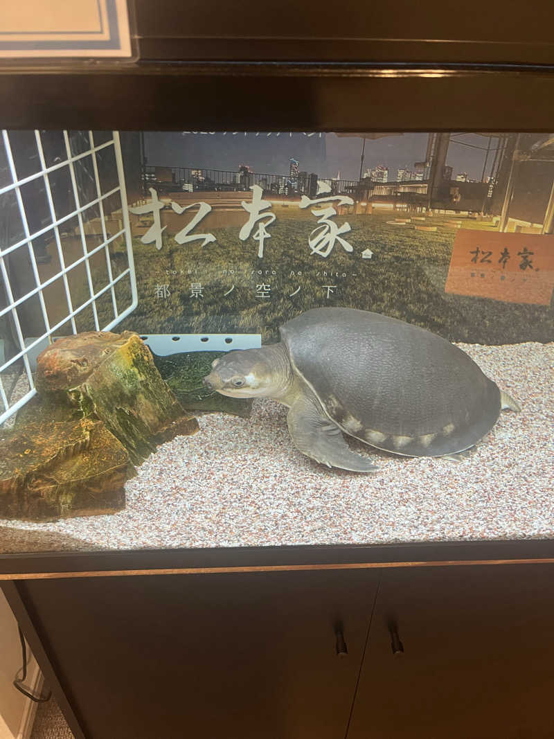 サ川さんの松本湯のサ活写真