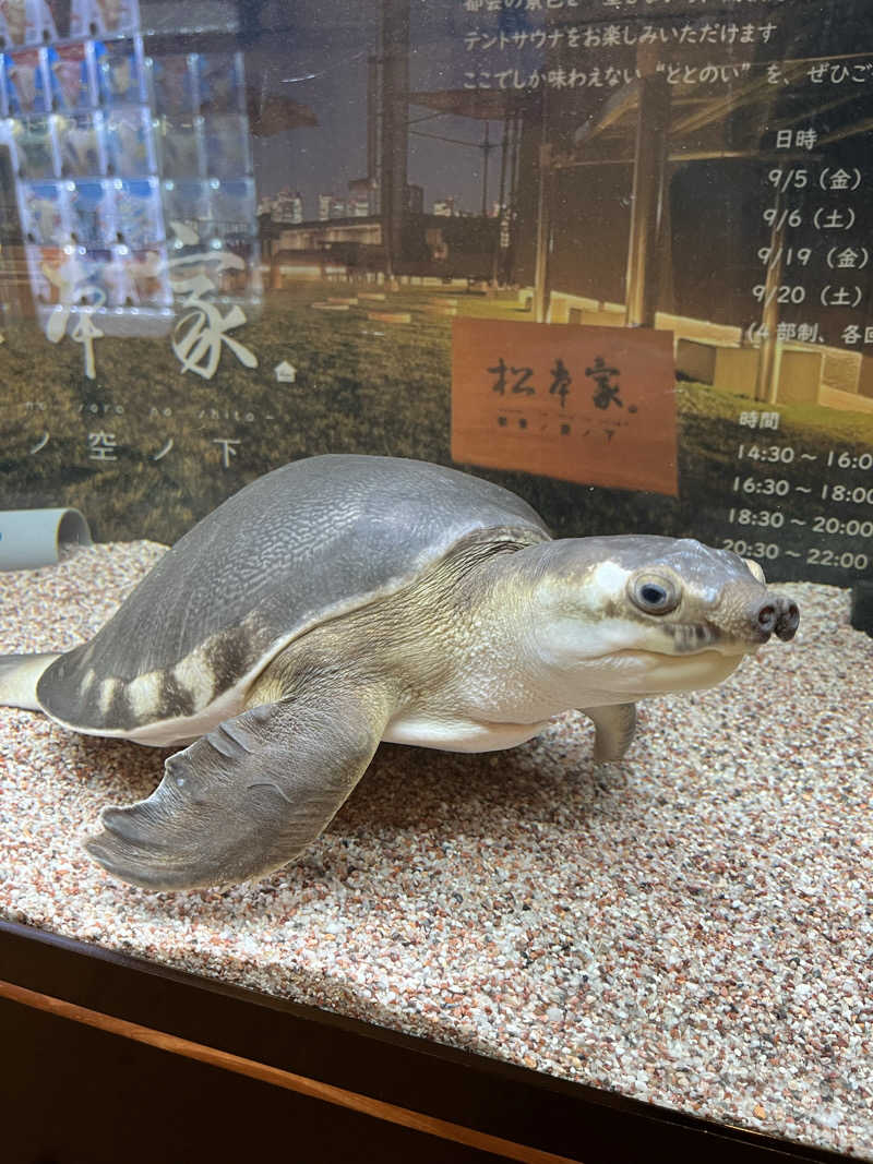 SAnow Man (サ脳男)さんの松本湯のサ活写真