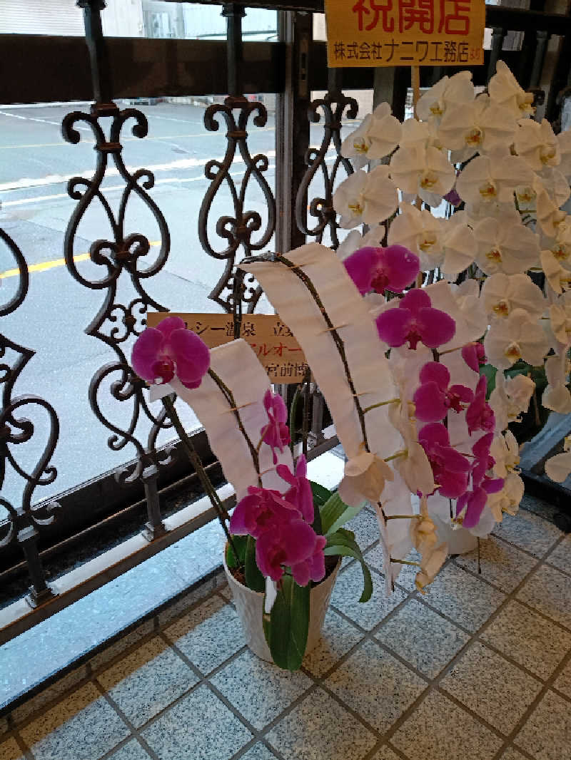 伊坂十蔵さんのヘルシー温泉タテバのサ活写真