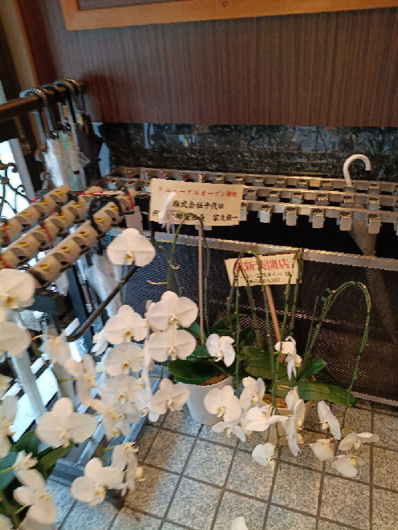 伊坂十蔵さんのヘルシー温泉タテバのサ活写真