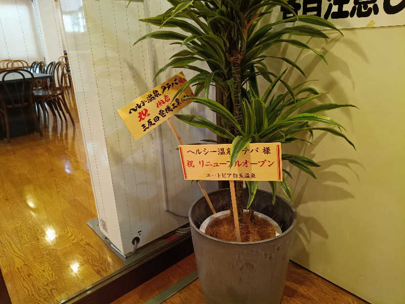 伊坂十蔵さんのヘルシー温泉タテバのサ活写真