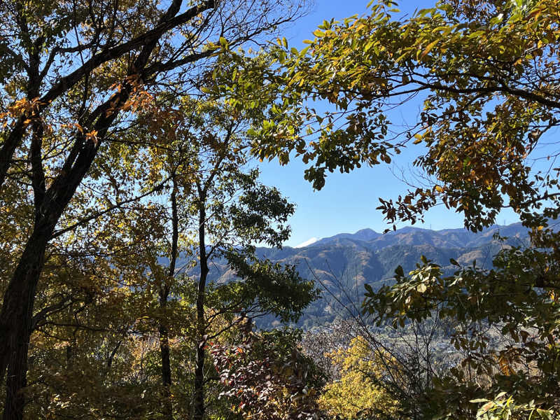 friendsnowさんの河辺温泉 梅の湯のサ活写真