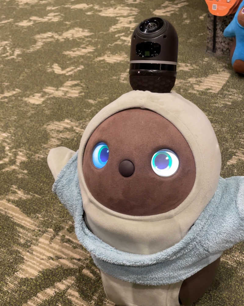 もちもち大福さんのSPA&ごはん ゆるうむ yuluumuのサ活写真