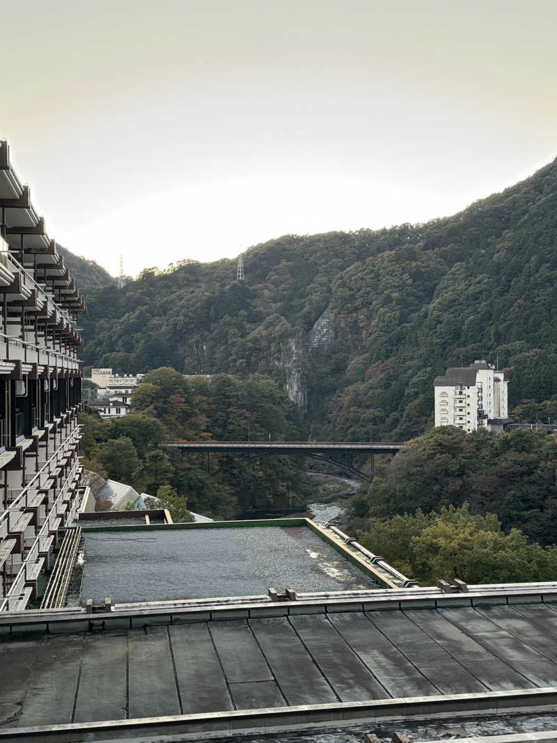 独身貴族さんのきぬ川ホテル三日月のサ活写真