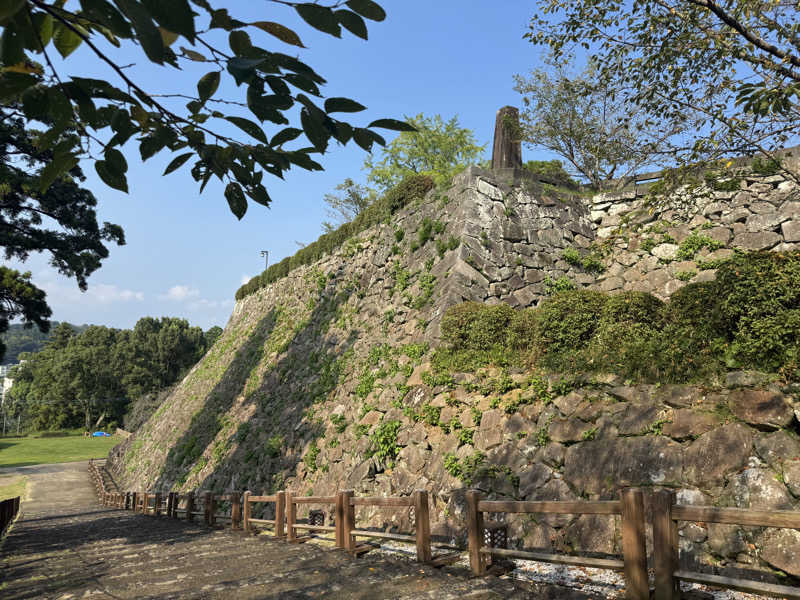 独身貴族さんのヘルストピア延岡のサ活写真