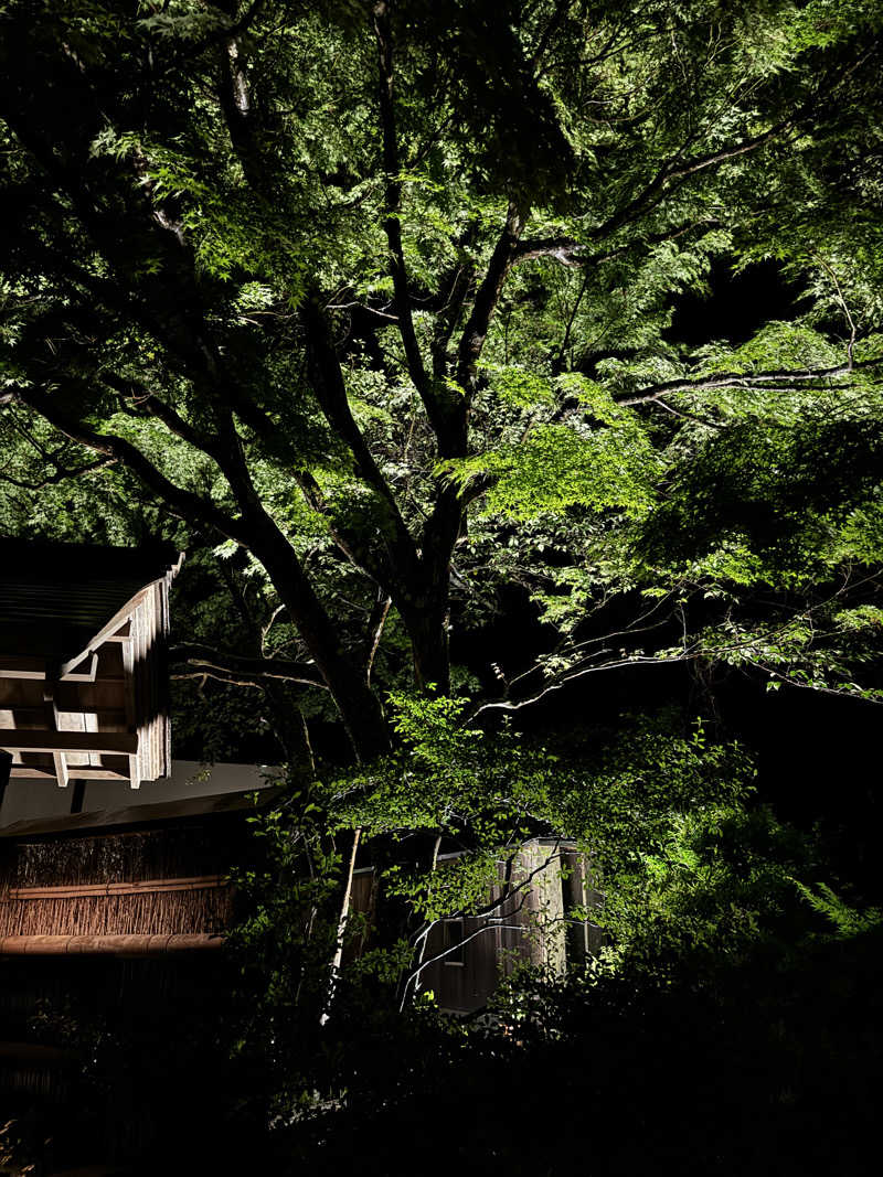 SAUNA  JUNKIE  Y'sさんの天山湯治郷 ひがな湯治 天山のサ活写真