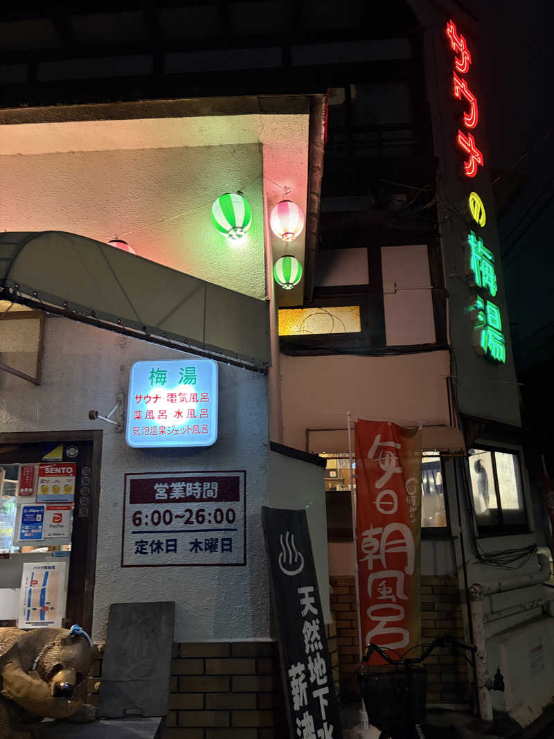 ぴーくんひよこじゃないっぴさんのサウナの梅湯のサ活写真