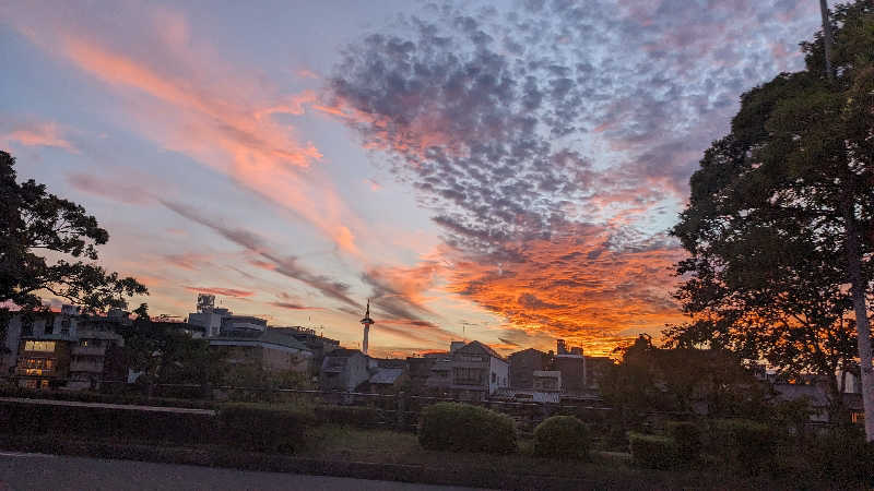 コブラさんの船戸湯のサ活写真