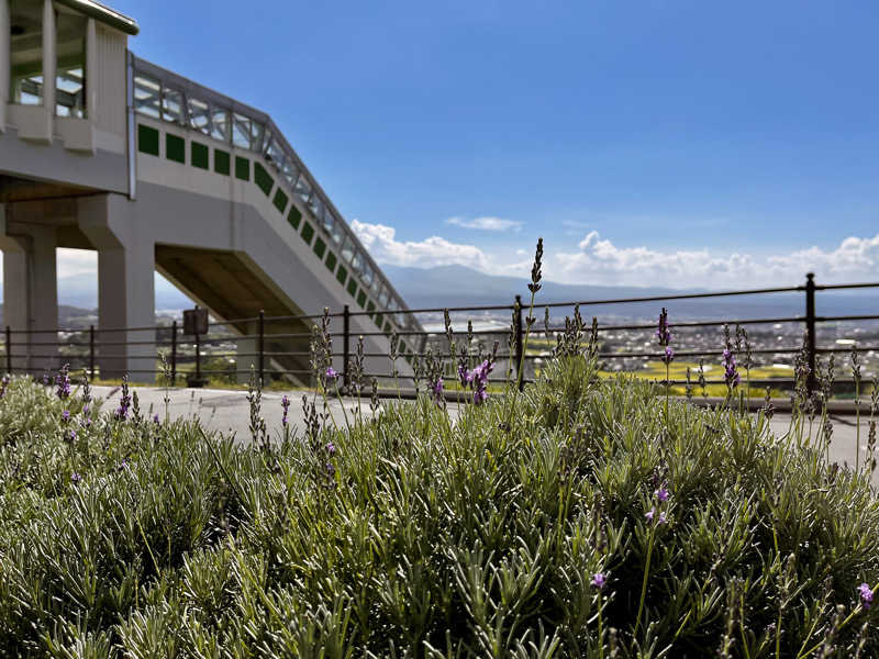 アキさんの平尾温泉 みはらしの湯のサ活写真