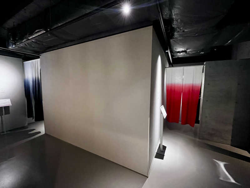 アキさんのホテルグローバルビュー郡山のサ活写真