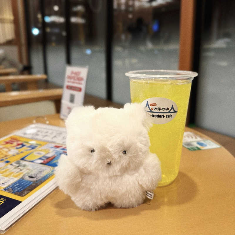 あり🐻‍❄️さんのSPA専 太平のゆのサ活写真