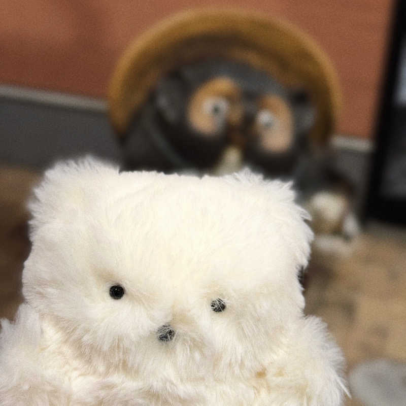 あり🐻‍❄️さんのスーパー銭湯花の湯飾磨店のサ活写真