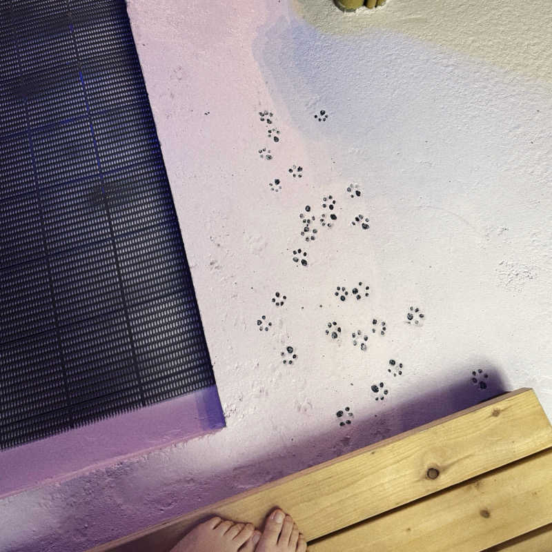 あり🐻‍❄️さんのサウナ居酒屋 壽屋のサ活写真