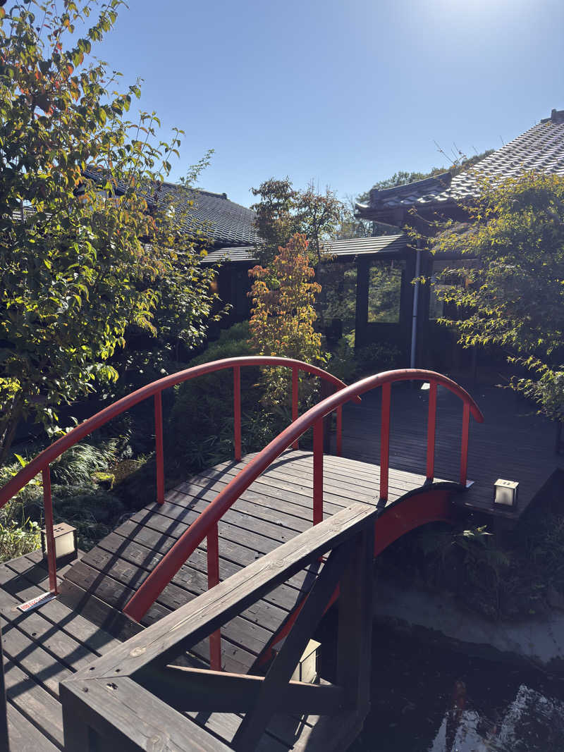 やまざきさんの天然自家源泉 星音の湯のサ活写真