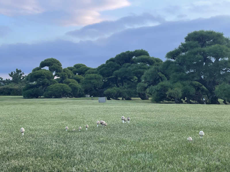 ぺんぎん5号🐧さんのさふぃスパ舞子(メンズサウナ)  by シーサイドホテル舞子ビラ神戸のサ活写真