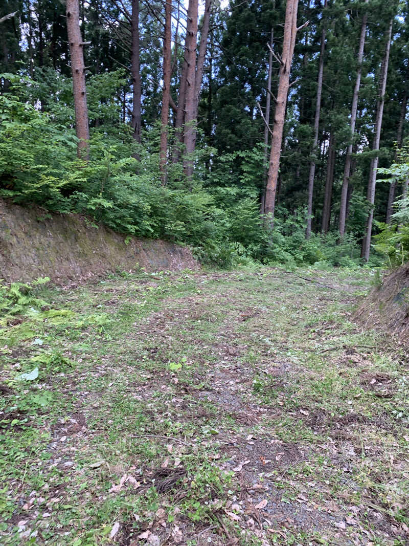 nekotosaunasukiさんの秋の宮山荘のサ活写真