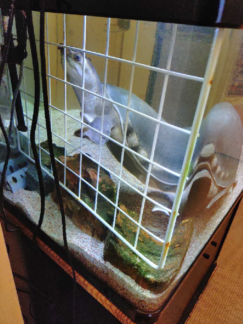 happynakanoさんの松本湯のサ活写真