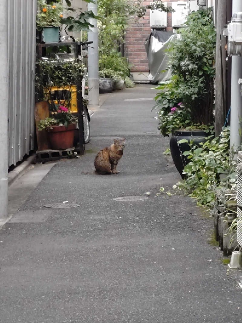 happynakanoさんの一の湯のサ活写真