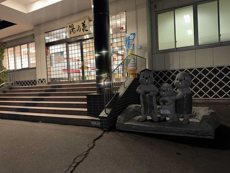 Haluvy🧸さんの定山渓温泉 湯の花のサ活写真