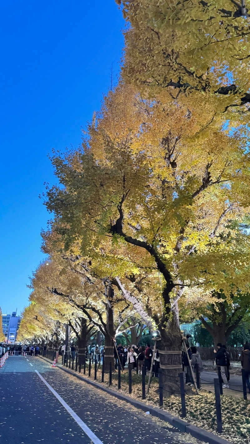 ʕ•̫͡•ʔ♡*:.✧♨️さんのTOTOPA 都立明治公園店のサ活写真