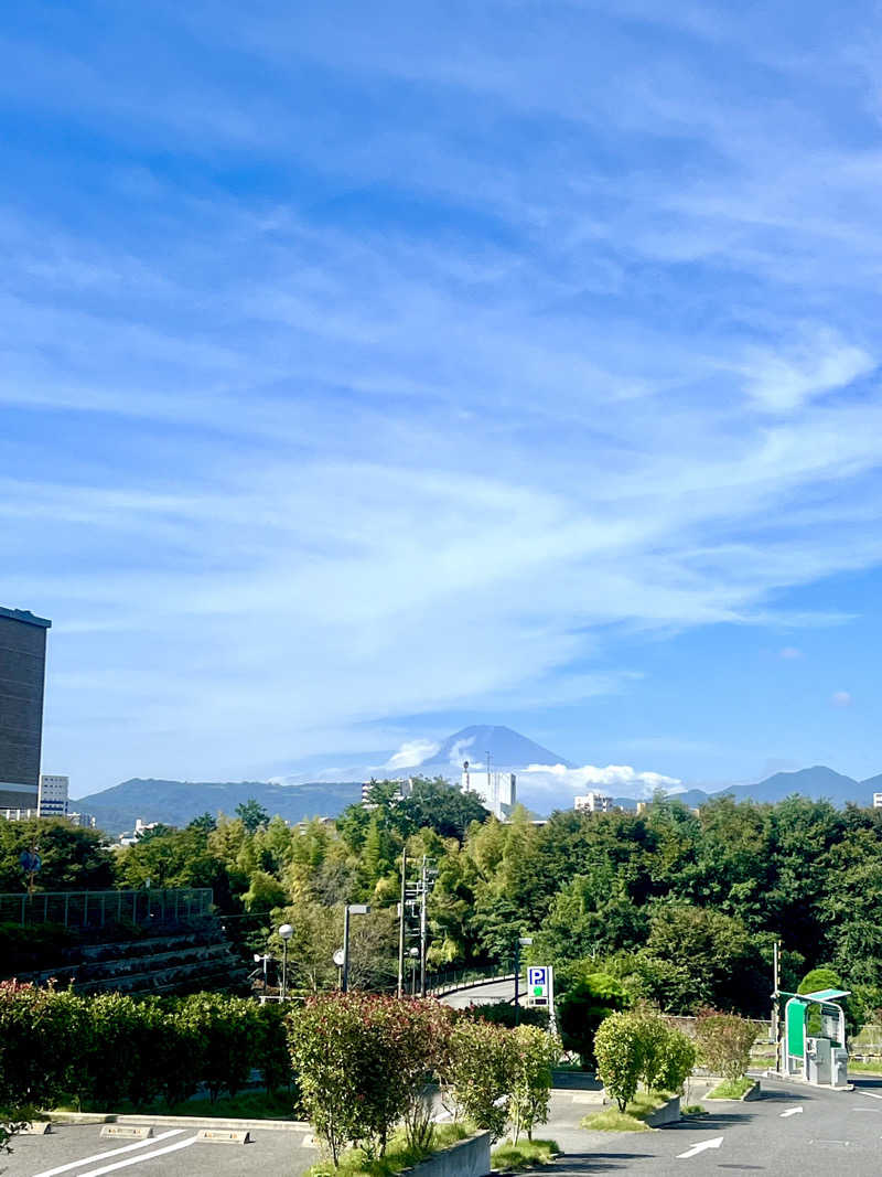 男湯のちいかわさんの名水はだの富士見の湯のサ活写真
