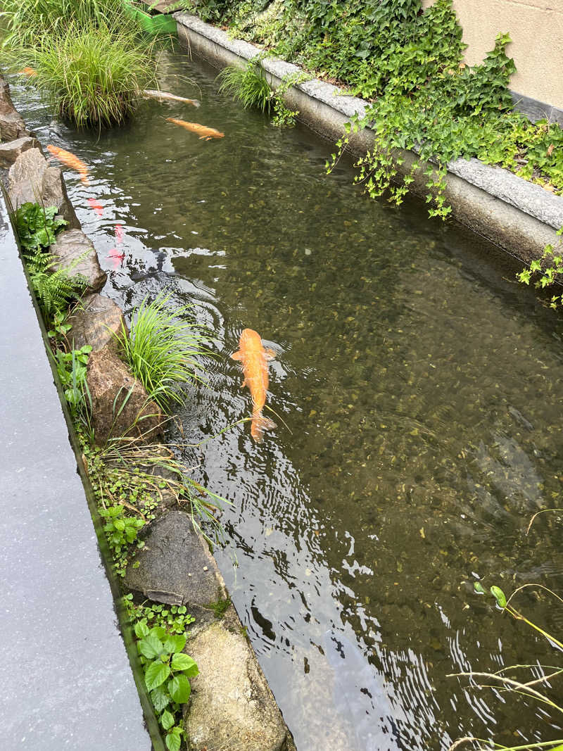 野人さんのやまと温泉 やすらぎ館 ことといの湯のサ活写真