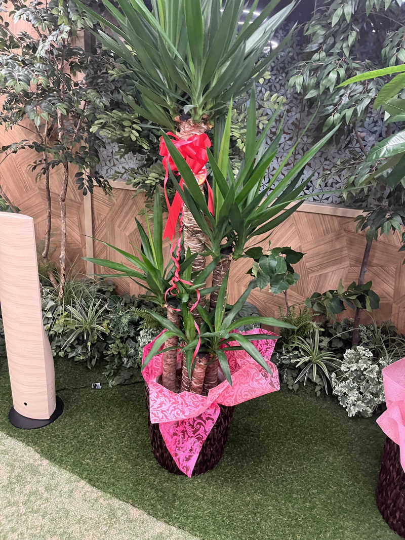 野人さんの天然温泉リラックスパーク テルメ金沢のサ活写真