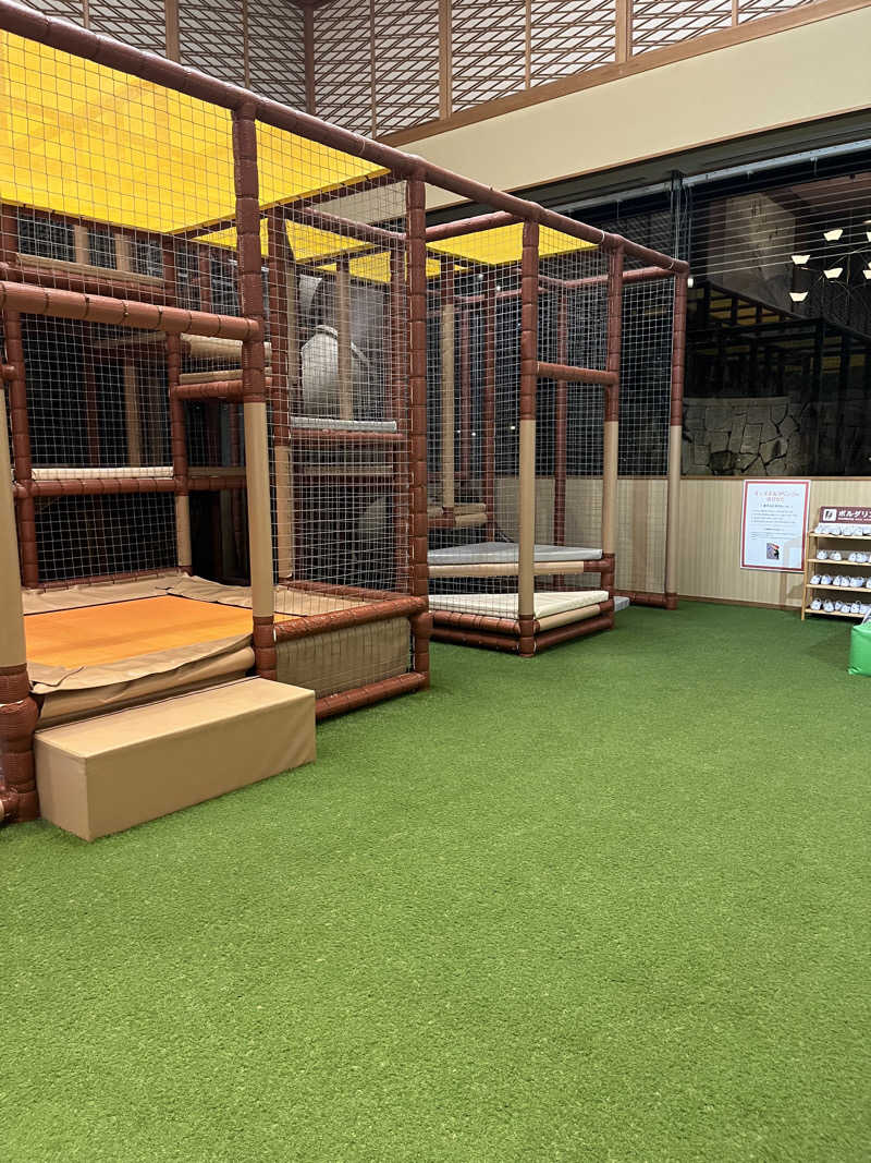 野人さんの大江戸温泉物語 Premium 青雲閣のサ活写真