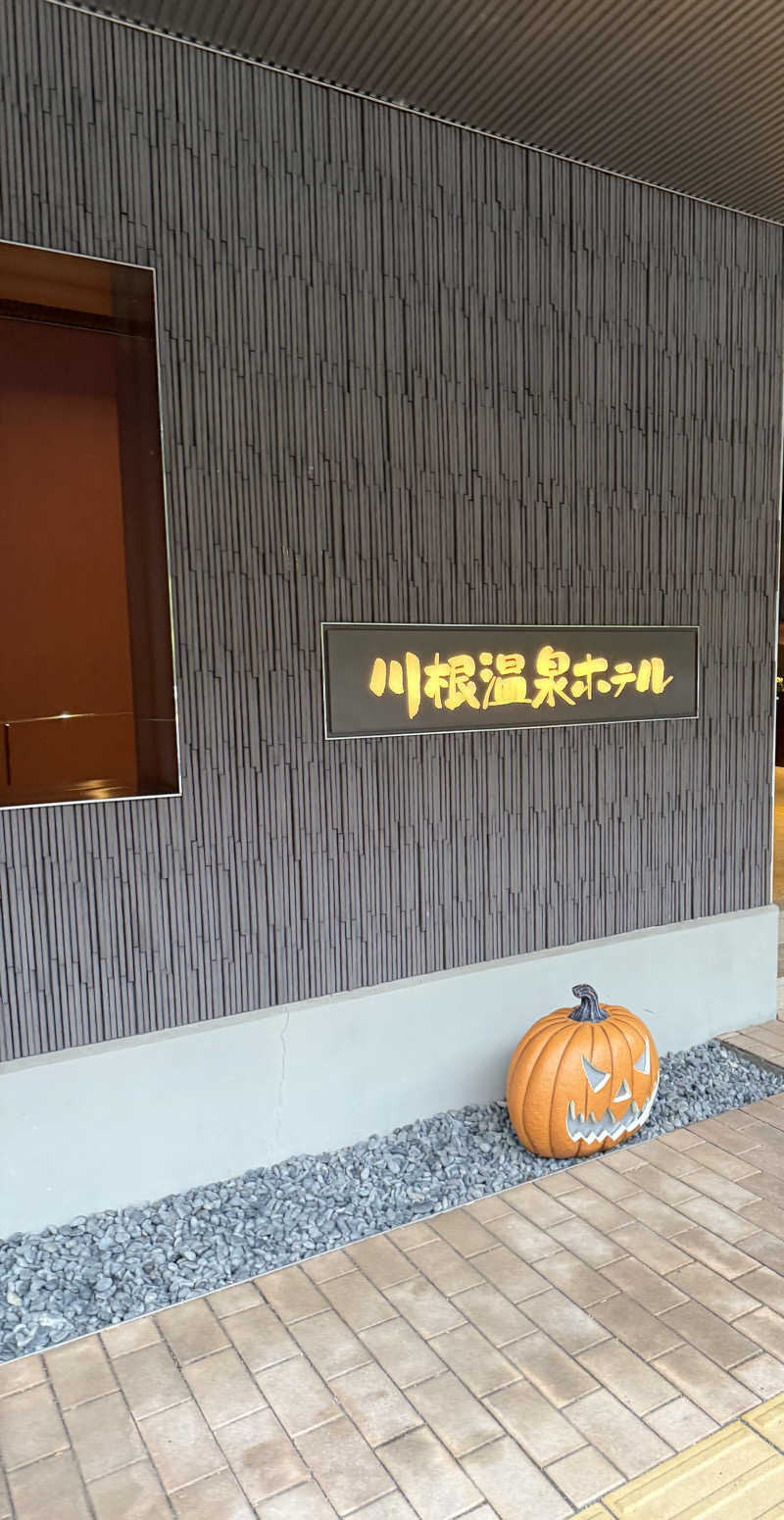 たんぼさんの大井川鐵道 川根温泉ホテルのサ活写真