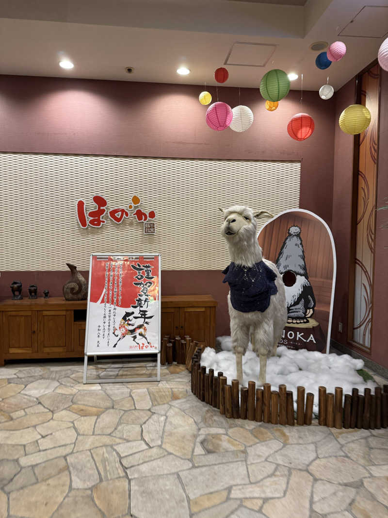 なごさんの湯の郷ほのか 蘇我店のサ活写真