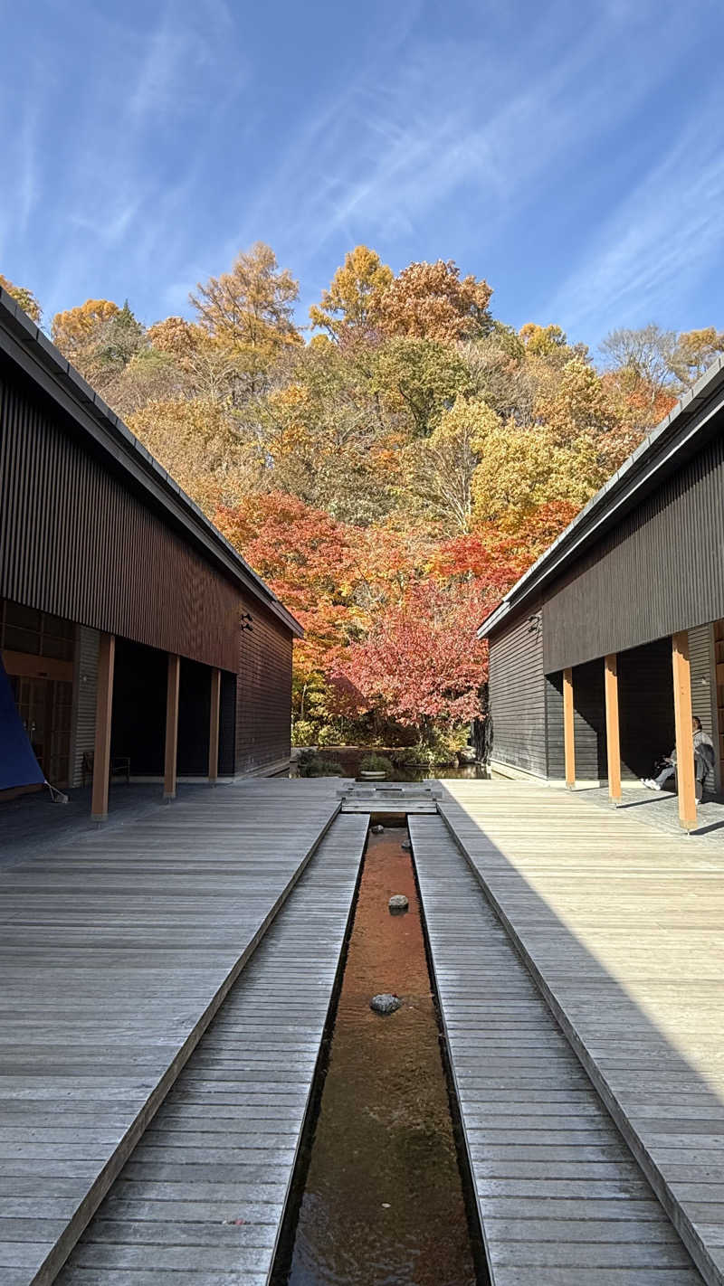 naruruさんの星野温泉 トンボの湯のサ活写真