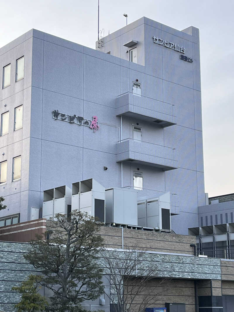 やっこさんさんの仙台湯処 サンピアの湯のサ活写真