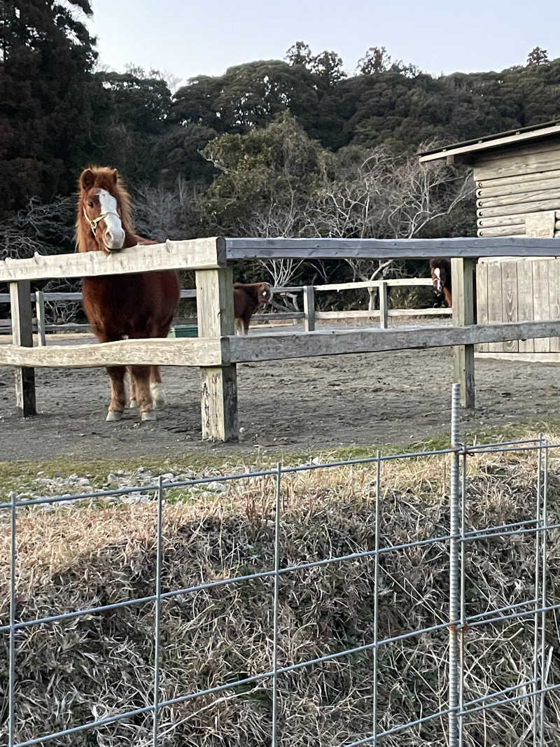 紫さんのキャメルゴルフ&ホテルリゾートのサ活写真