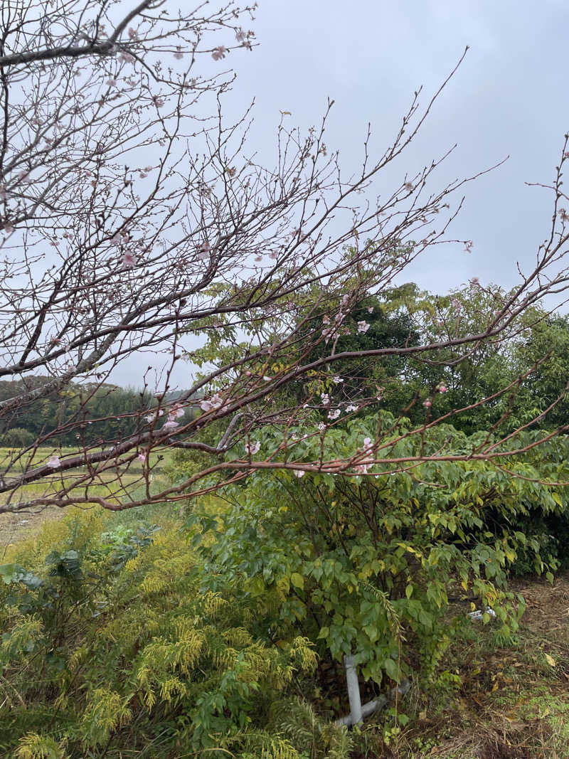 紫さんのむつざわ温泉つどいの湯のサ活写真
