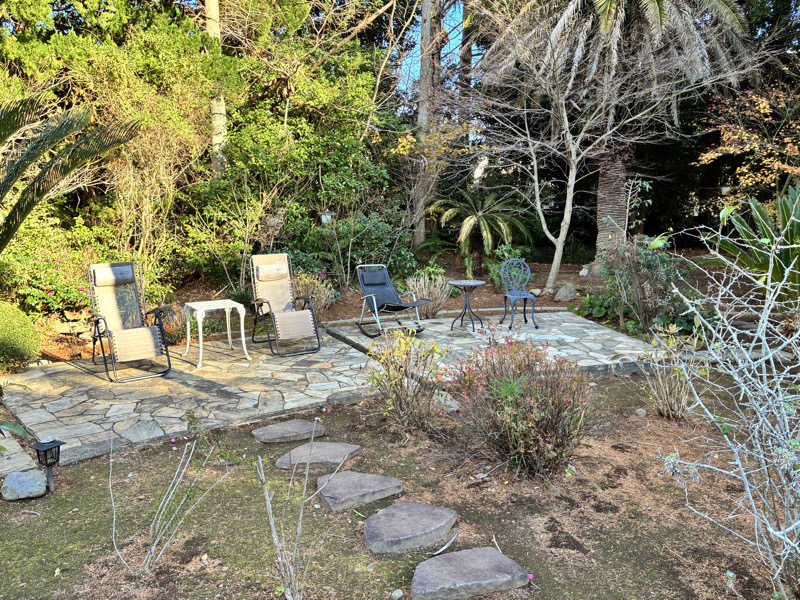 ぶんたさんの蓮台寺温泉 清流荘のサ活写真