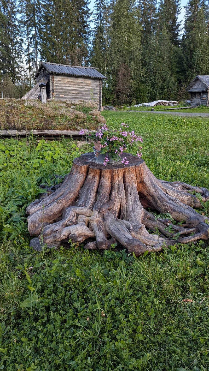 あぶさんのSauna Village Saunakylä (サウナキュラ)のサ活写真