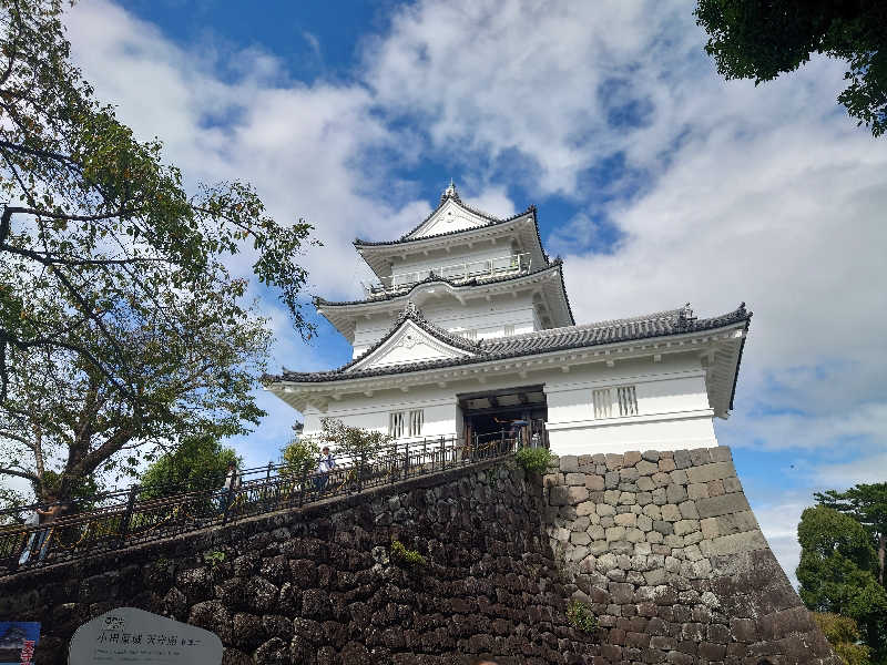 ゆの字さんの天然温泉 小田原コロナの湯のサ活写真