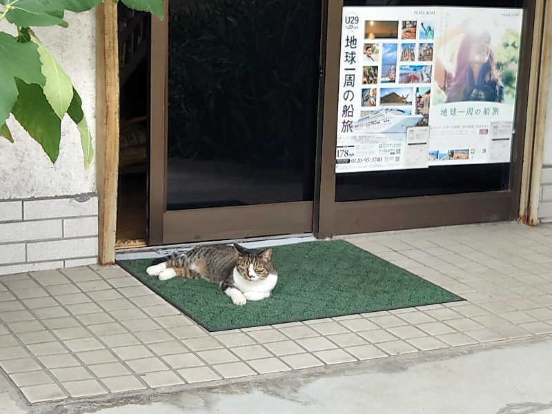 ゆの字さんの天然温泉 小田原コロナの湯のサ活写真