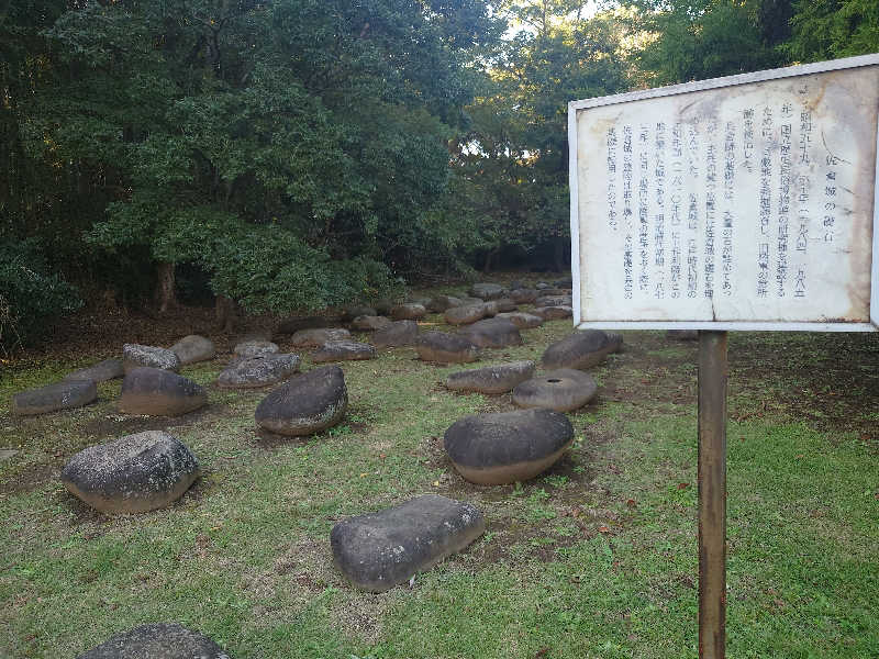 ゆの字さんの佐倉天然温泉 澄流(すみれ)のサ活写真