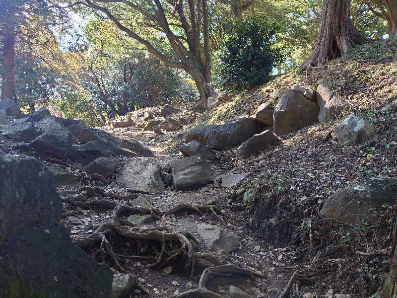 ゆの字さんの山賊サウナのサ活写真