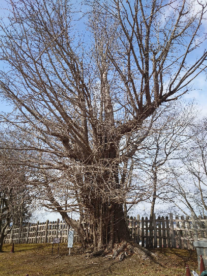 ゆの字さんのあさひ温泉のサ活写真